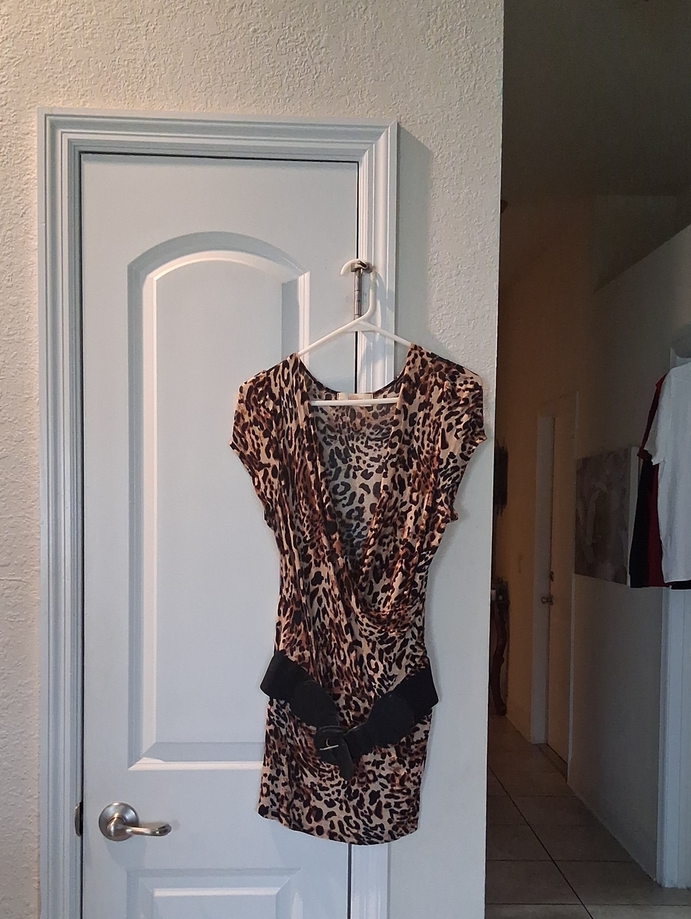 Leopard Print Short Dress